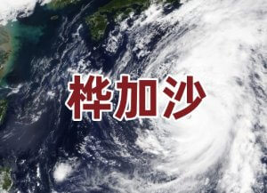 超強(qiáng)臺風(fēng)“樺加沙”來襲：公共衛(wèi)生挑戰(zhàn)與分子檢測在災(zāi)害應(yīng)對中的關(guān)鍵角色